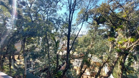 Image 33 - 272430